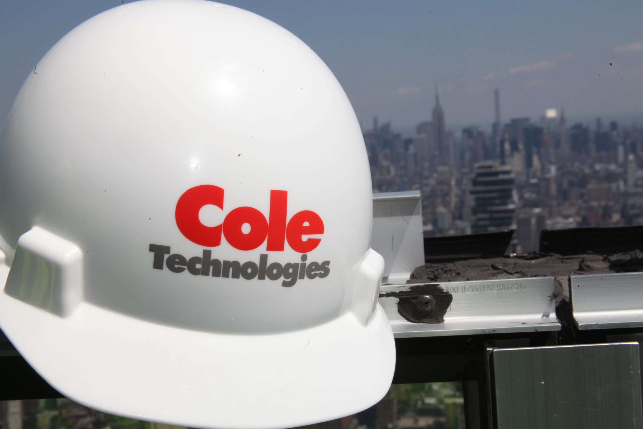 Cole Technologies Group was established in a small office in Ossining, New York, with two employees; the founder and an administrative assistant.